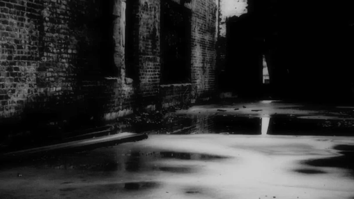 Alley for Author Terrence Damon Spencer’s website Alley for header on website